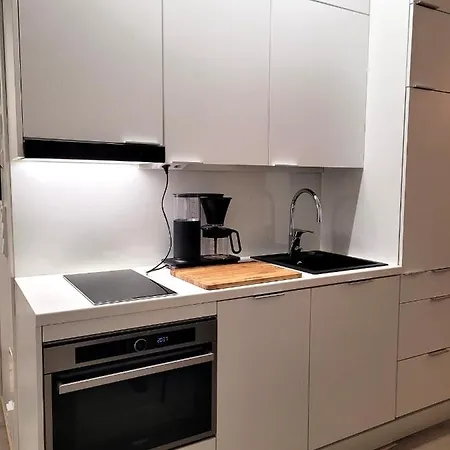 Nordica Downtown 公寓 罗瓦涅米