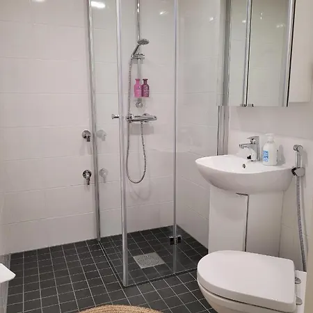 Nordica Downtown 公寓 *