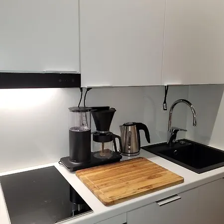 Nordica Downtown 公寓 *