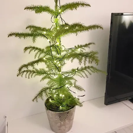 Apartment Nordica Downtown Rovaniemi