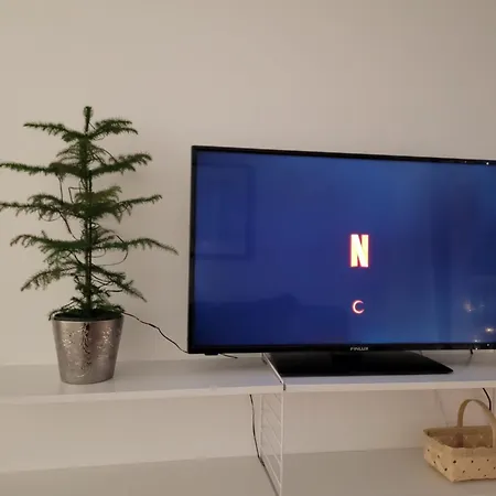 Nordica Downtown 公寓 罗瓦涅米