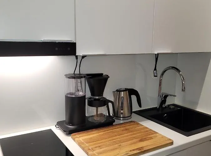 Nordica Downtown 公寓 *