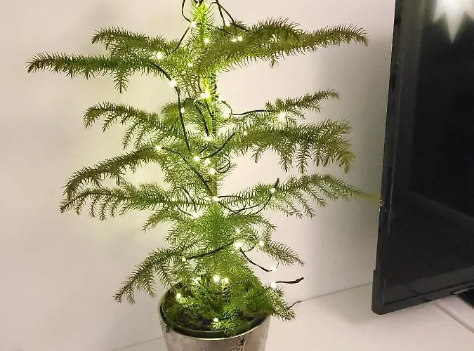 Apartment Nordica Downtown Rovaniemi