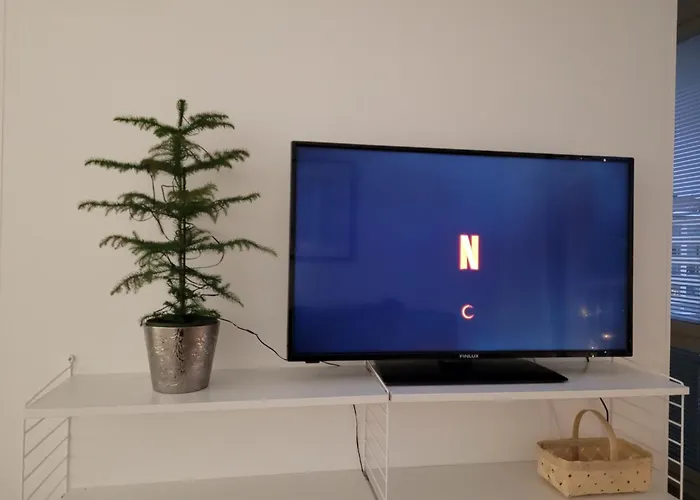 Nordica Downtown 公寓 罗瓦涅米